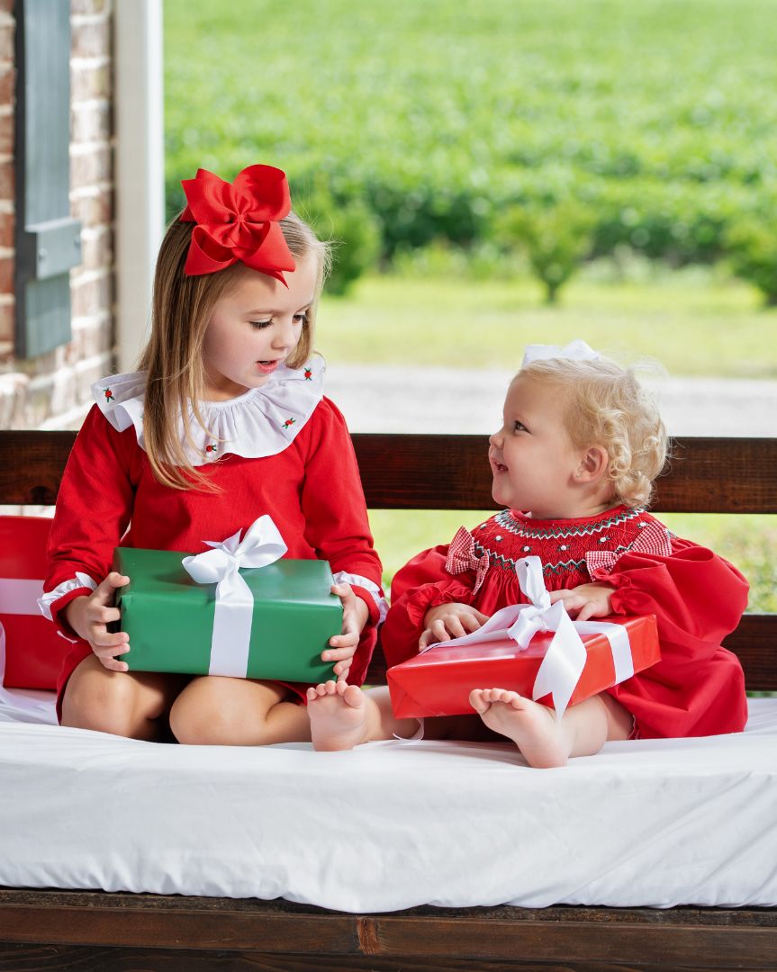 Santa’s Magical Photo Day: Cecil and Lou’s Guide to Festive Fun