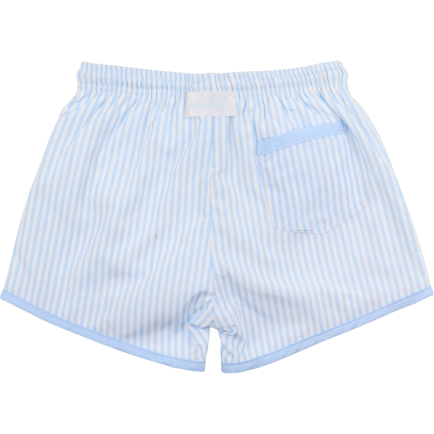 Blue Striped Swim Trunks