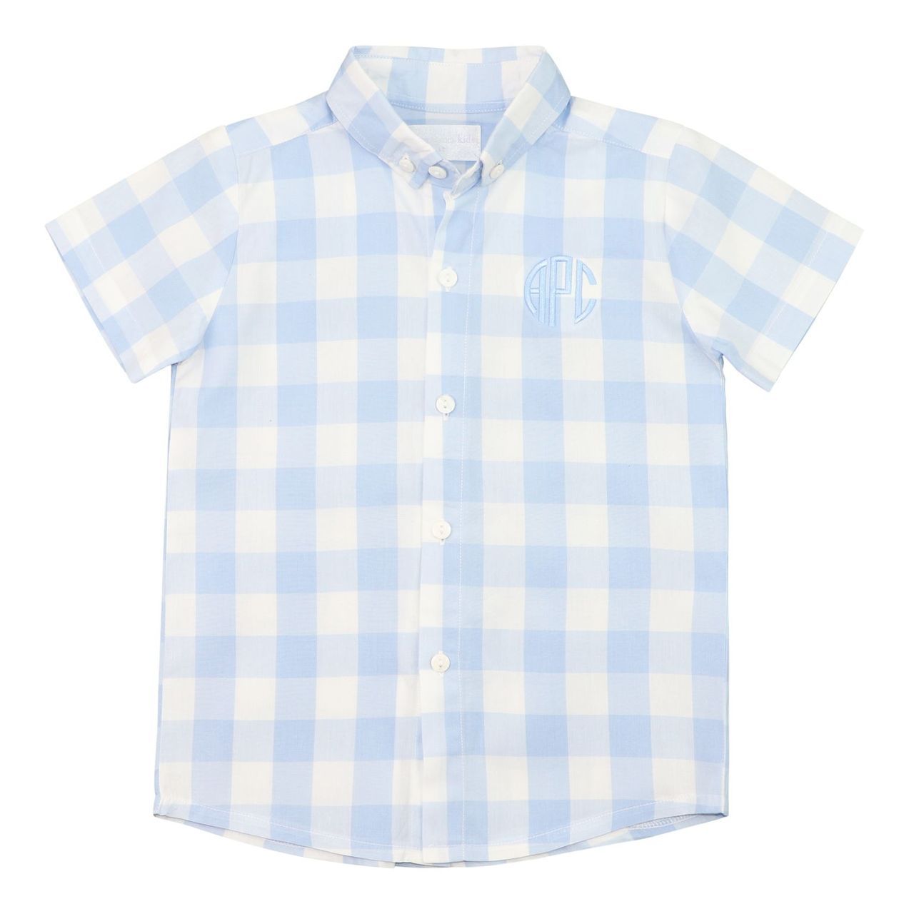 Blue Checked Button Down Shirt