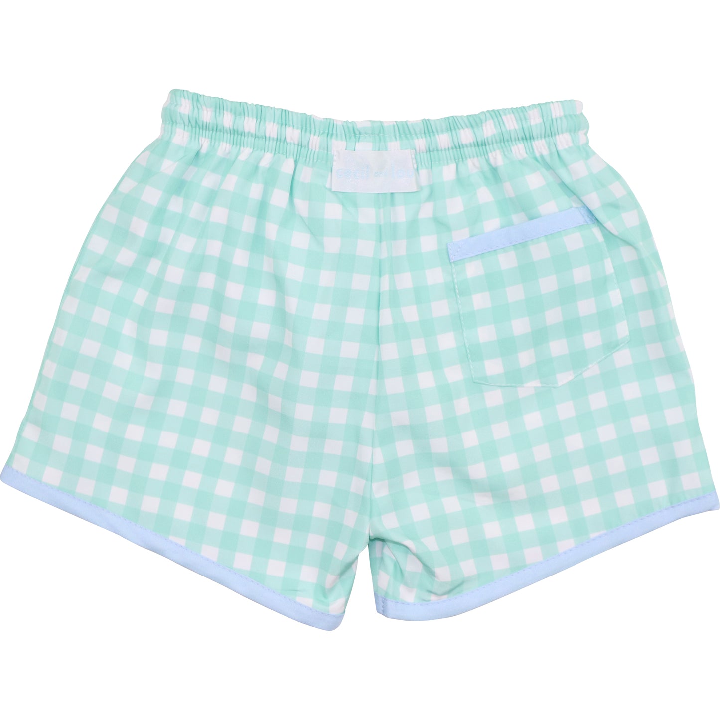 Blue And Mint Check Swim Trunks