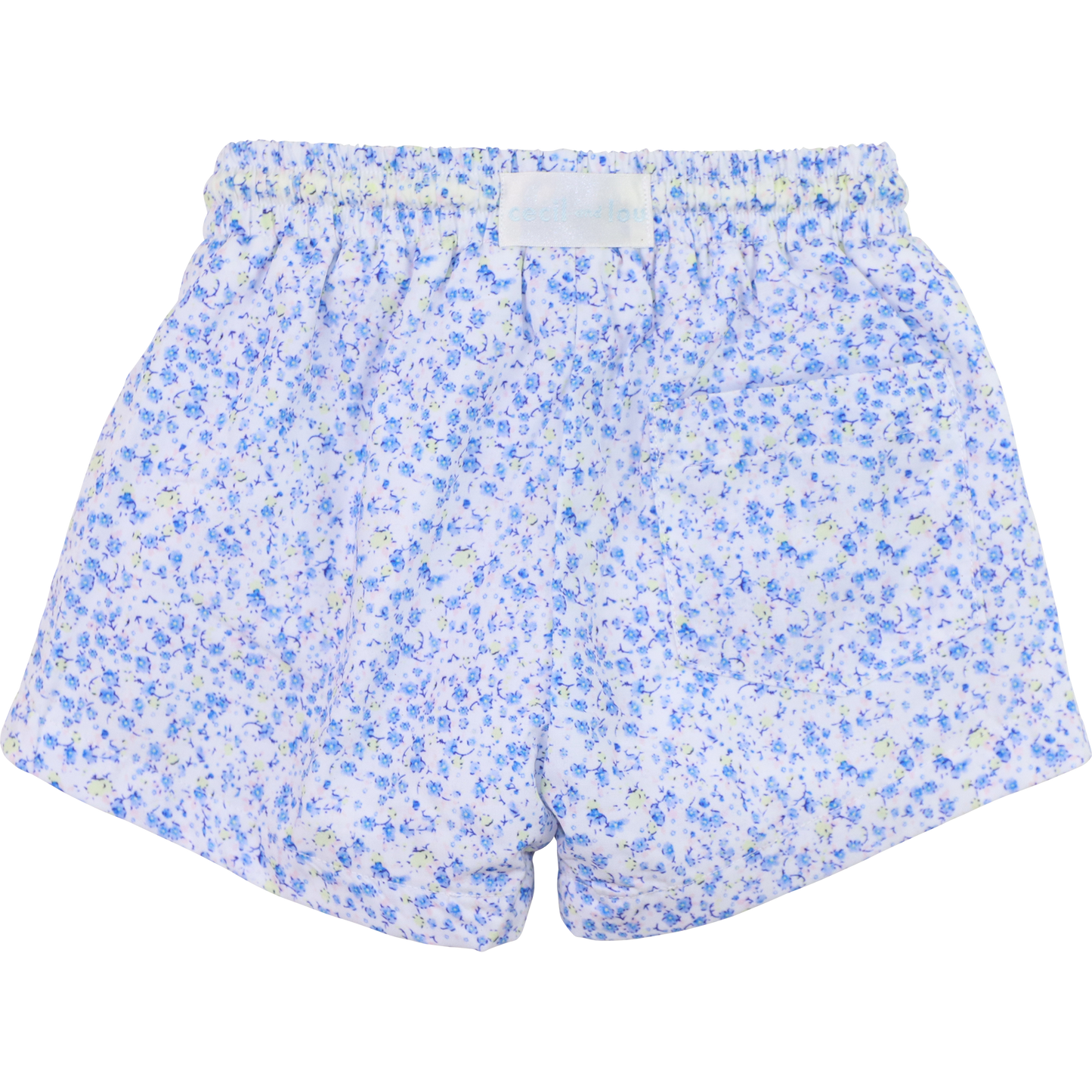 Bronson Swim Trunks