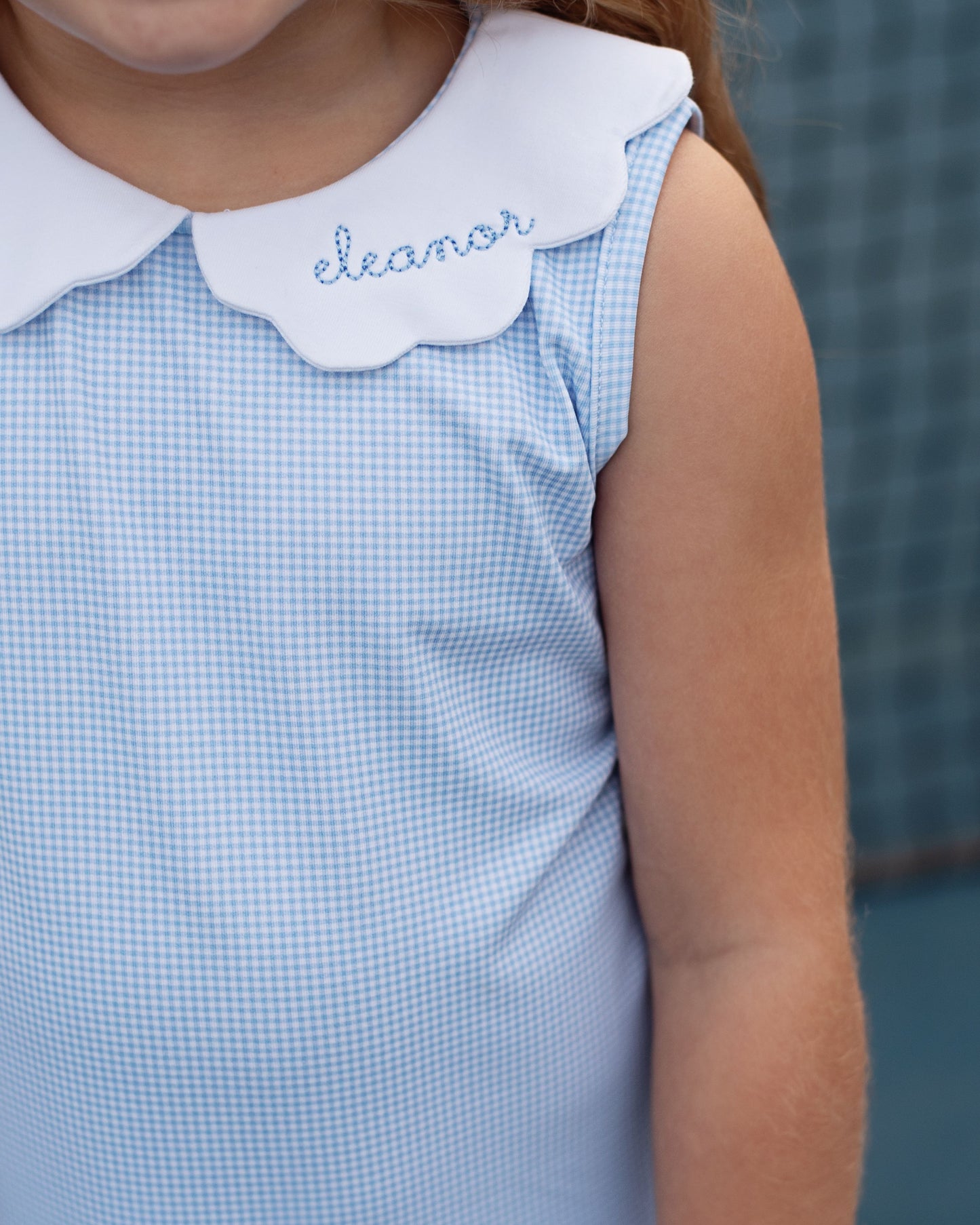 Blue Gingham Scalloped Collar Knit Dress