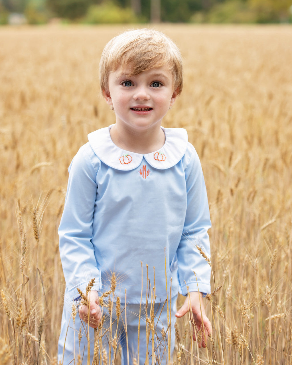 Blue Shadow Embroidered Pumpkin Pant Set