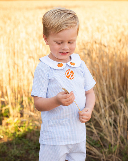 Blue Striped Embroidered Pumpkin Short Set