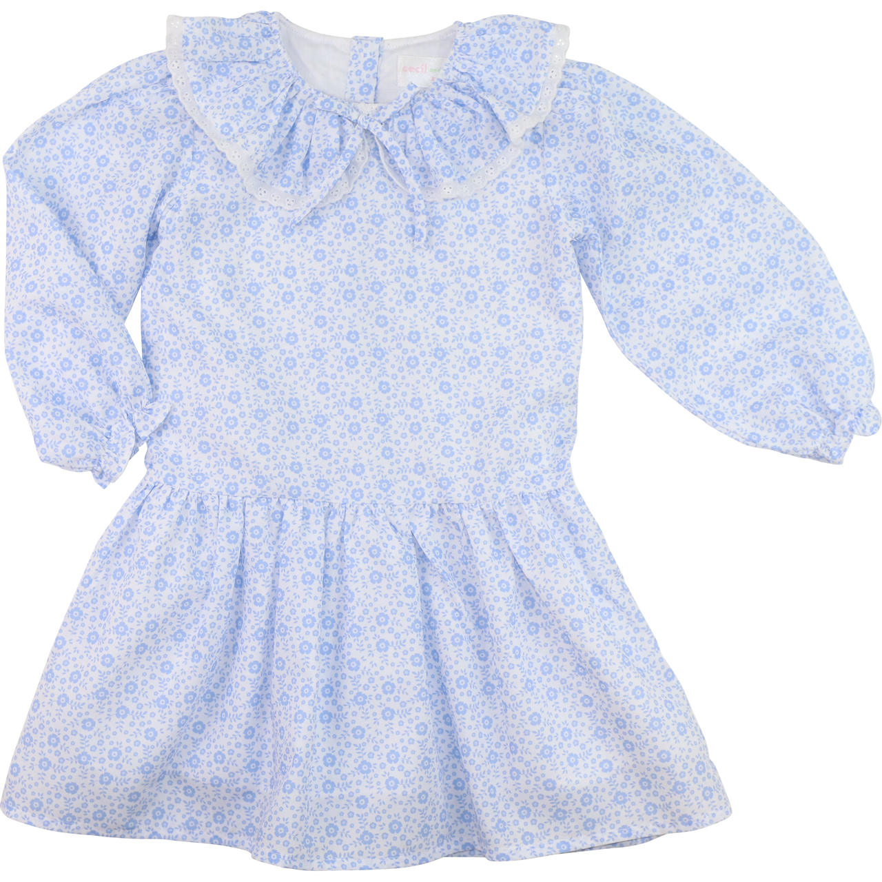 Blue Mini Floral Eyelet Dress