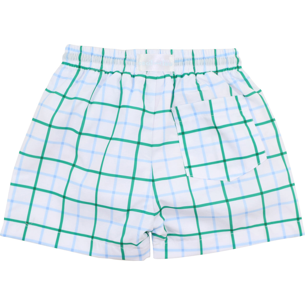 Green And Blue Windowpane Swim Trunks