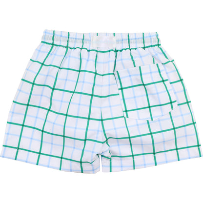 Green And Blue Windowpane Swim Trunks