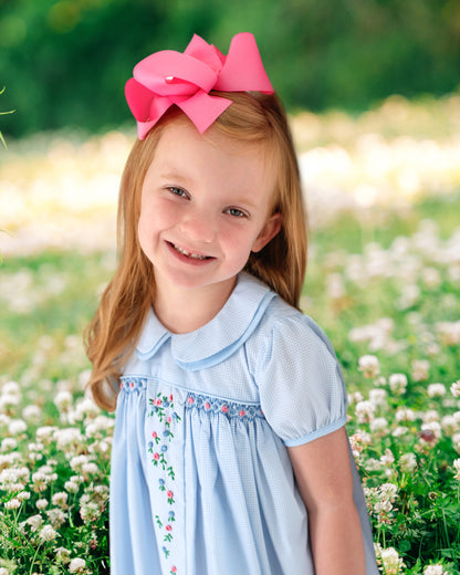 Blue Gingham Embroidered Floral Dress