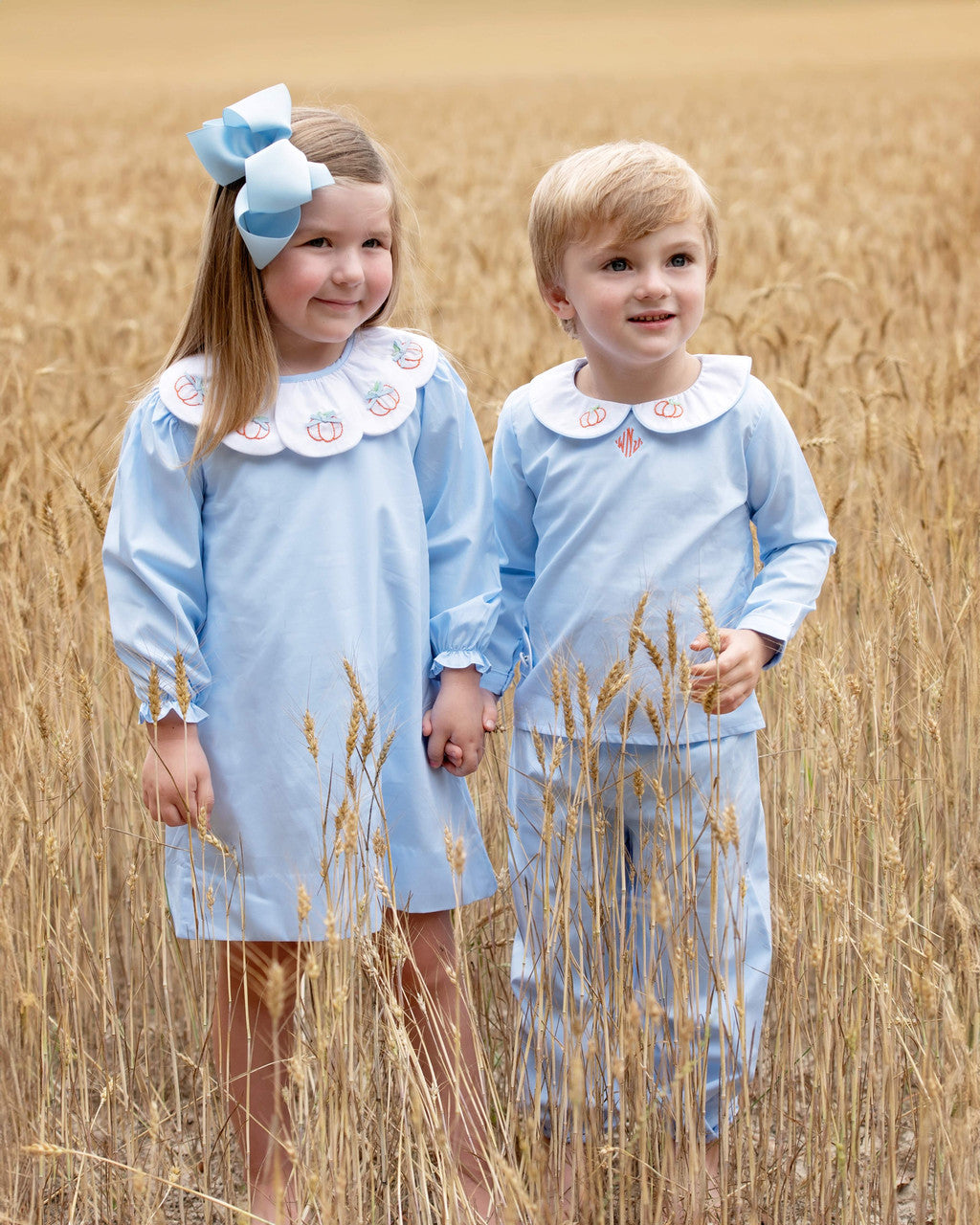 Blue Shadow Embroidered Pumpkin Pant Set