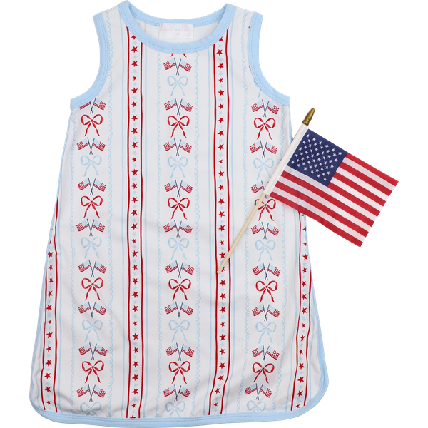 Patriotic Knit Play Dress